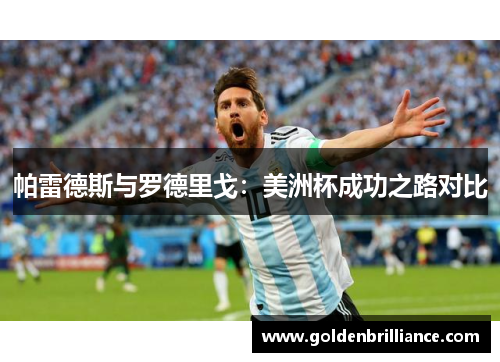 帕雷德斯与罗德里戈：美洲杯成功之路对比
